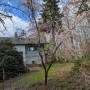 mar20_different_angle_of_plum_blossom.jpg